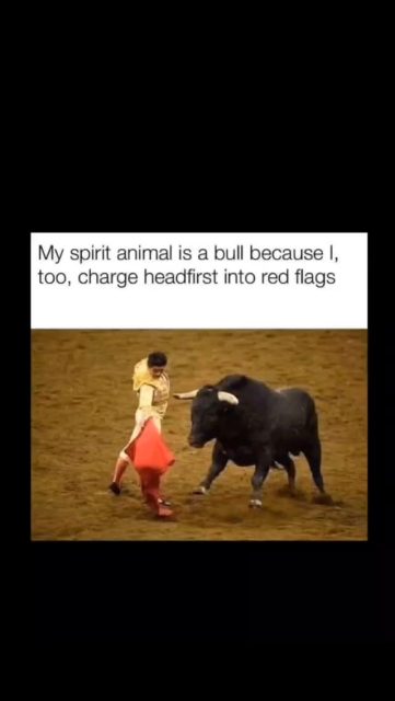 Definitely my spirit animal. #staytoxicmyfriends #staytoxic #stayingtoxic #toxiclife #toxicmemes #toxichumor